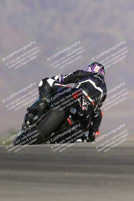 media/Nov-12-2023-SoCal Trackdays (Sun) [[5d1fba4e7d]]/Turn 9 Backside (1015am)/